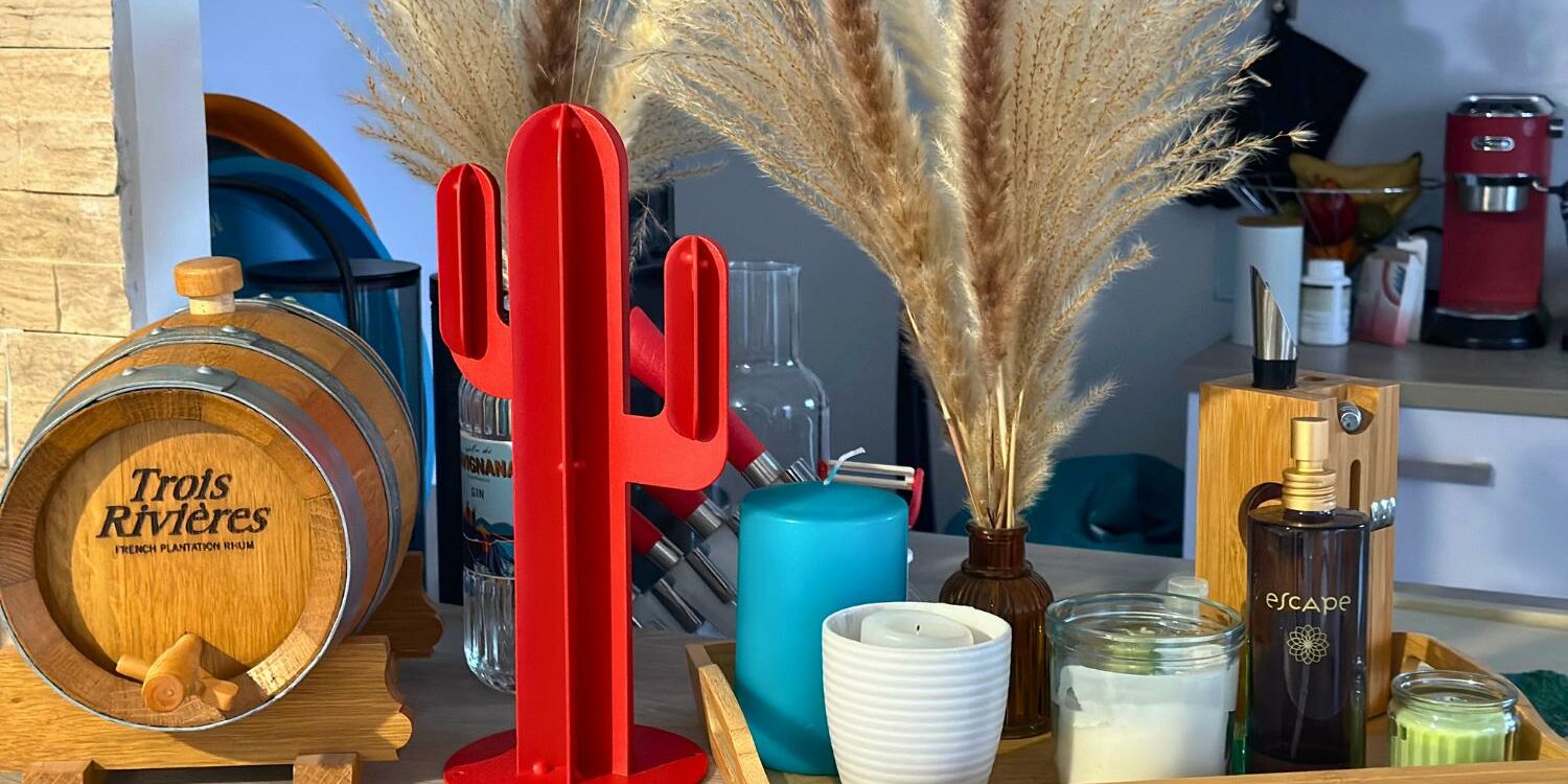 Le cactus décoratif Le cactus décoratif
