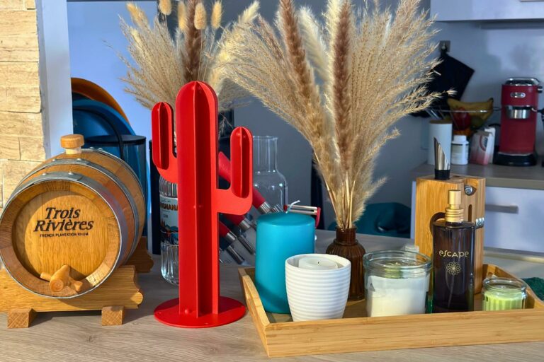 Le cactus décoratif Le cactus décoratif
