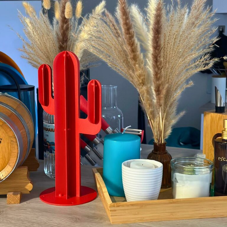 Le cactus décoratif Le cactus décoratif