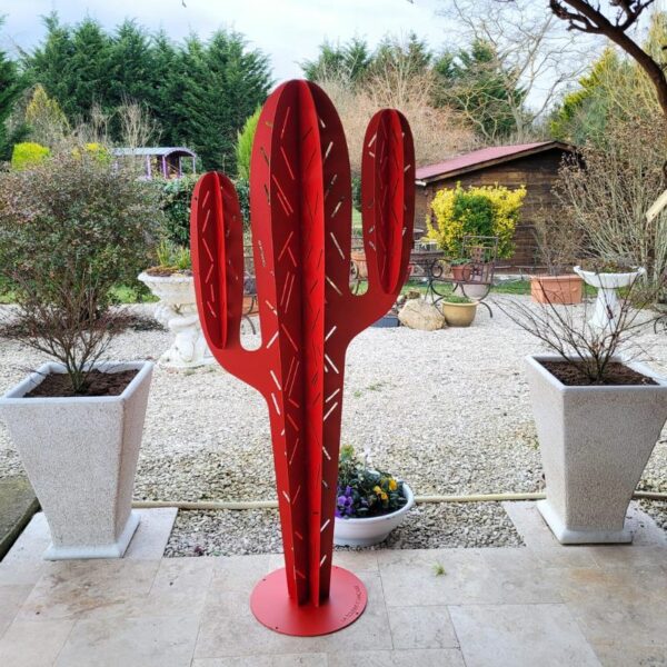 Le cactus Arizona